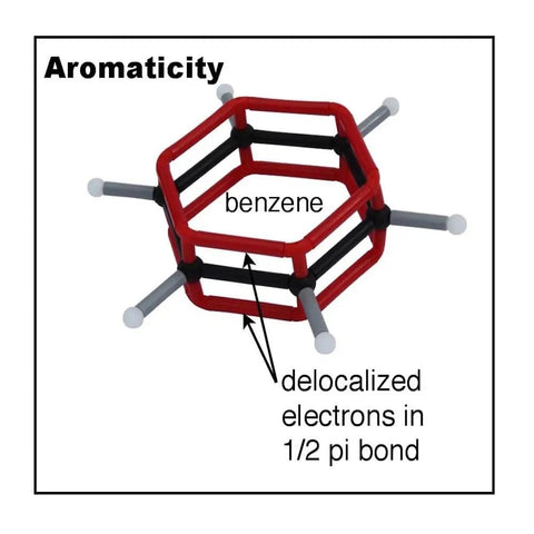 Organic Chemistry Model Set With 175 Color Coded Parts, benzene ring showing delocalized electrons for classroom use.