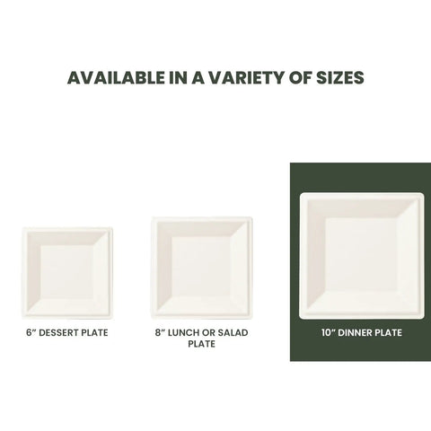 Square 10 Inch Compostable Plates, Heavy Duty Disposable Dinnerware, Sugarcane Biodegradable Party Plates For Hot Or Cold Meals, Microwave And Freezer Safe Catering Grade, 125 Pack 10-inch dinner plate shown