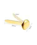 300 Pieces Three Quarters Inch Paper Fasteners Small Round Metal Brads With Hole Punch Included For Scrapbooking Crafts And DIY