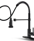Pro Grade Pull Down Kitchen Faucet With Sprayer, Commercial Spring, High Arc, Single Handle, 360 Degree Swivel, Black Finish