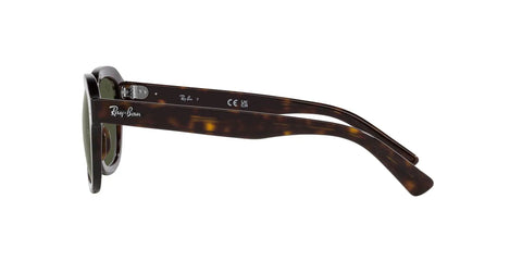 Side view of Erik Square Sunglasses Unisex RB4398 Non Polarized Havana Green Full Rim Frames 53mm showing temple arm design
