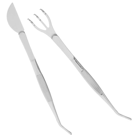 Stainless Steel Bonsai Tweezers Set With Small Rake And Curved Tips For Succulents Moss And Plant Shaping Pro Grade Gardening Tools Durable Bonsai Supplies For Easy Maintenance And Storage, stainless steel tool set