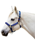 Horse wearing Breakaway Leather Horse Halter With Padded Nose And Snap At Throat For Consistent Fit In Large Navy With Cosmic Blue Accents