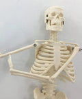 Close-up of Mini Human Skeleton Model with Movable Arms and Legs on Metal Stand 17 Inch Petite Anatomy Skeleton for study or decor.