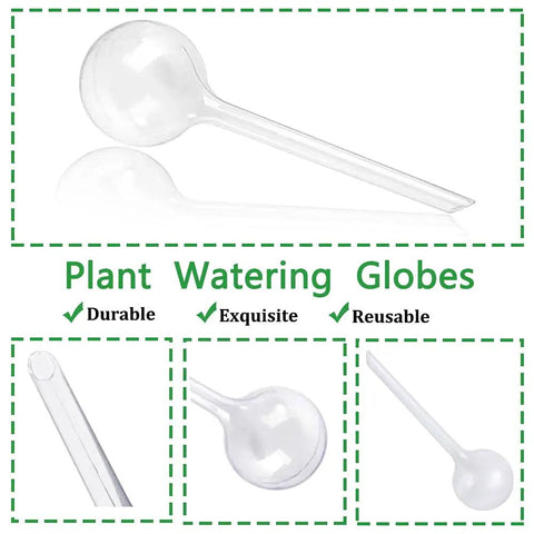 Clear Plant Watering Globes Set Of 10