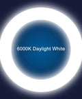 8 Inch LED Circline Light Bulb 1600LM 13W Daylight 6000K for FC8T9 CW Fluorescent Replacements Ballast Bypass Ready