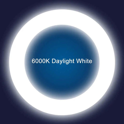 8 Inch LED Circline Light Bulb 1600LM 13W Daylight 6000K for FC8T9 CW Fluorescent Replacements Ballast Bypass Ready