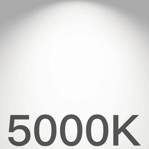 5000K light color represented in the 12 Pack 6 Inch Ultra Thin LED Recessed Ceiling Light With Junction Box, Dimmable Downlight