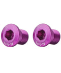 2 Pack M10 X P1.0 Bike Rear Derailleur Hanger Bolts Aluminum Alloy 15mm Length 6mm Hex Purple Finish