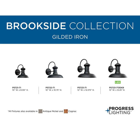 Brookside Outdoor Wall Light Black Finish, 10 Inch Wide By 10.75 Inch Tall Exterior Fixture, weatherproof, collection display