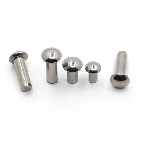 Pro Level 304 Stainless Steel Solid Round Head Rivets M2 50 Pack Self Plugging Fasteners Built Tough With No Nonsense Durability And Rust Resistance For Real Automotive Fixes And Weekend Diy Projects