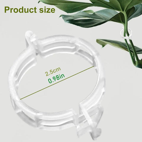 Reusable Plant Support Clips For Garden And Trellis Easy Clamp Plastic Clips For Tomato Stems Flowers Vines And Indoor Outdoor Plants 50 Pack Green Outdoors, shown with size 2.5cm, clear plastic