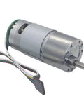 High Torque 6V 12V 24V Dc Gear Motor With Encoder And Hall Sensor for robotic projects with wires and metal casing.