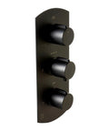 HomeStock Modern Thermostatic Shower System with Separate Temperature & Pressure Controls, Matte Black Finish control panel close-up.