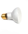 100W Lava Lamp Light Bulb 125 Volt R Type R20 Medium Base for Lava Lamps Spas Pools and Home Lighting with Regular Screw In Socket