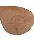Replacement Core For Bloodline Buck XL Archery Target With EZ Flex Foam And Vital Rings Multicolor Backyard Series close-up