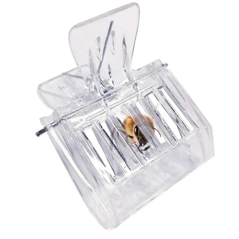 Bee Queen Cage Catcher Clips 12 Pack Transparent Plastic Beekeeping Kit showing one clip with a bee inside