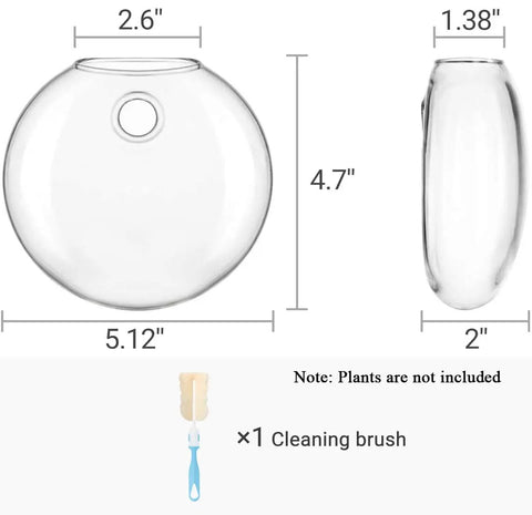 Hanging Glass Terrarium Planter Set Of 2 For Hydroponics And Air Plants, Oblate Vase Decor, size dimensions and brush shown.