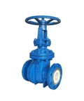 Blue gate valve with handwheel and flanged ends, DN100.
