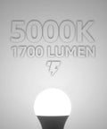 Lit Up Your Garage With This 1700LM Universal Garage Door Opener LED Bulb Pack Of 2, 15W, 100W Equivalent, A19 E26 Base, 5000K Daylight