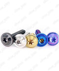 Straight Up Gr5 Titanium Self Tapping Screws With Torx Socket Flying Saucer Head And Vivid Pvd Purple Finish in various colors.
