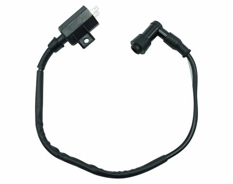 Ignition Coil Spark Plug CDI Kit For Kawasaki Bayou 220 KLF220 1996 To 2002 And Bayou 250 KLF250 2003 To 2011 ATV Replacement OEM