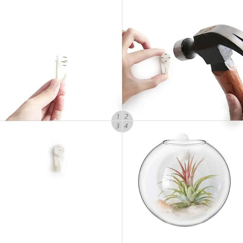 Hanging Glass Terrarium Planter Set Of 2 For Hydroponics And Air Plants, wall mounting steps and oblate vase with air plant.