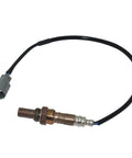 Oxygen Sensor Replacement For Toyota Rav4 2001 To 2003 Two Point Zero Engine with heat resistant housing and plug.
