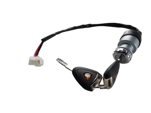 Ignition Starter Switch Assembly For 48V Golf Carts Replacement Fits Edison And Advanced EV Models And I20 I20U Two Position Key