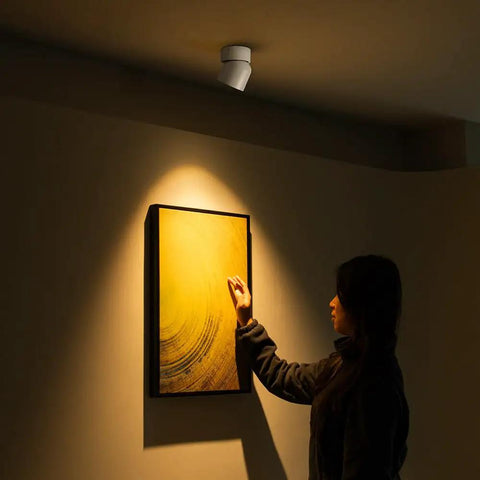 4 Pack LED COB Adjustable Ceiling Spotlight Surface Mounted 7W 3000K Warm White Aluminum Spotlight highlighting artwork on wall
