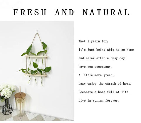 Wall Mounted Water Culture Plant Station with Wooden Bracket and Glass Tube Vases, easy indoor decor with climbing plants.