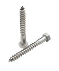 Beefy Stainless Steel Lag Screws With Washers And Gaskets Included Ten Pack Hex Head Bolts Three Eighths Inch By Three Inches Heavy Duty Lag Bolts For Decks And Timber Corrosion Resistant Fasteners showing close-up of hex head and threading.