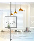 Warm white kitchen lighting at 3000K for 75 Watt Equivalent R20 Dimmable LED Light Bulb 940 Lumens Bright White 3000 Kelvin Indoor Outdoor