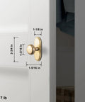 Champagne Bronze Cabinet Knobs With Orbit Rim Backplate Beaded Pull Modern Zinc Alloy Hardware for drawers, doors