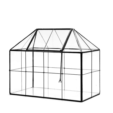 Glass Terrarium House Planter With Swing Lid For Succulents And Small Plants, Modern Glass Greenhouse Habitat, Black Accent, Totally Perfect For Moss, Ferns, Cacti, And Venus Flytrap, 9.8 By 7.9 By 5.9 Inches