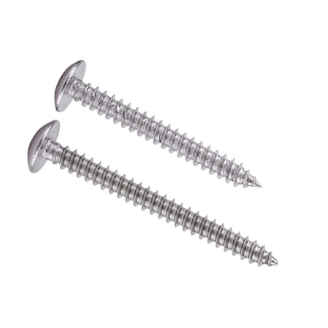 Close-up of two M3 self tapping screws from 200-piece set, 304 stainless steel, truss head, used for woodworking and appliance repair.