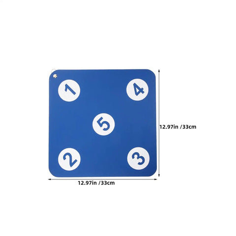 Blue Two Sided Fencing Target Practice Hanging Targets for Home Gym Self Training Level Up Control Timing and Accuracy