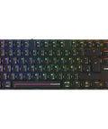 Lightning Fast TKL Shaped Wireless Gaming Keyboard With Hot Swap Magnetic Tmr Switches And Rapid Trigger for precise inputs with RGB lighting.