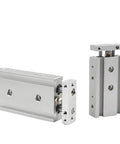 Stainless Steel Pneumatic Air Cylinder Dual Rod Double Shaft CXSM Series 20x10 To 20x100 Bore And Stroke Options, side view