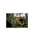 Using 20V Max Cordless Pruner With 1-1/2 Inch Cut in garden, trimming branches with quick blade changes and onboard LED work light.