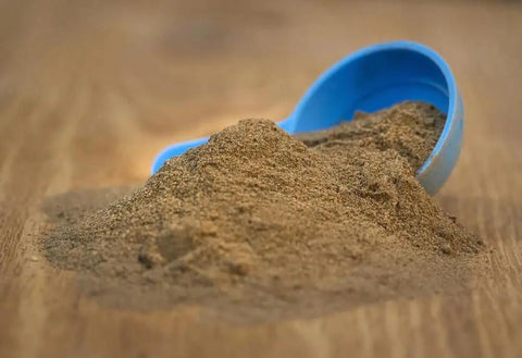 Pigeon Breeding Supplement 500g Kastle Formula with moistened feed and blue scoop on wooden surface