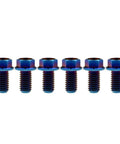 Titanium M8x15 Hex Flange Bolts 1.25 Pitch Burned Blue Set Of 6 For Mountain Bikes, Road Bikes, And Motorcycles Ultra Lightweight High Strength