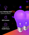 Blue LED A19 2 Pack 9W 60W Equivalent Non Dimmable E26 Base Blue Light Bulbs For Party Decor Porch Lighting Home Holiday