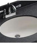 Solid Surface Bathroom Sink With Oval Bowl, Under Counter Mount, 16 Inch Long By 19.625 Inch Wide By 5.625 Inch High, White Finish