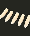 Five beige Pocket Hole Plugs 9.5mm Set 100 Piece Plastic Slant Cap Dowel for woodworking on a black background.