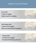 Image displaying wind settings for Remote Control Ceiling Fan With Dimmable Light Three Color Modes Three Speed Adjustments.