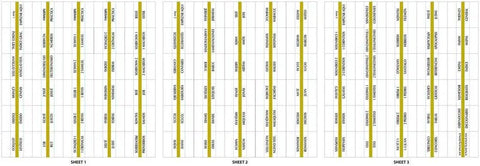 Spanish Gold Edged Bible Tabs Self Adhesive Index Stickers For Old New Testament Plus Catholic Books 90 Count positioning sheet with labels.