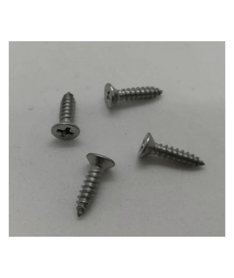 Close-up of four silver screws on a white background