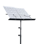 Portable Foldable Music Stand For Piano And Violin, Lightweight Metal Sheet Music Holder with adjustable stand and sheet music displayed