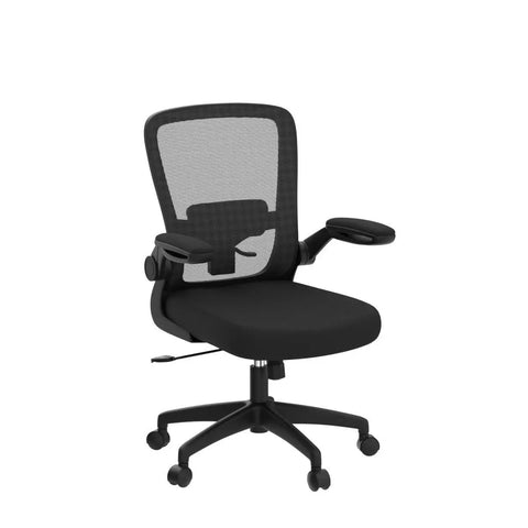All Day Comfort Ergonomic Office Chair With Breathable Mesh, Adjustable High Back, Lumbar Support, Flip Up Armrests, Black